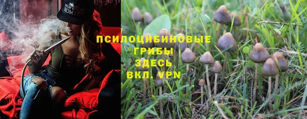 Альфа ПВП Остров
