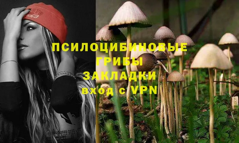 площадка какой сайт  купить наркоту  Ивдель  Галлюциногенные грибы MAGIC MUSHROOMS 