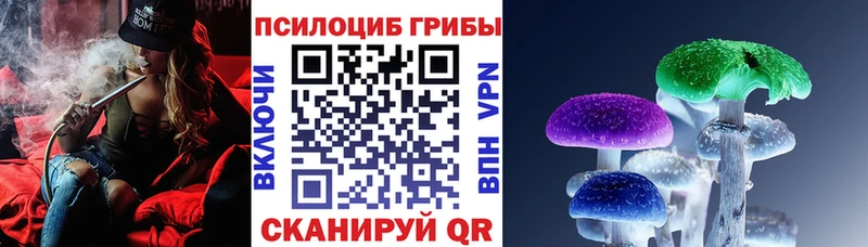 shop Telegram  Ивдель  Галлюциногенные грибы мицелий 